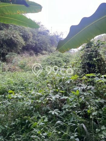 HARGA MENARIK! Tanah Kawasan Bogor Barat, Luas 564m², Lingkungan Asri HARGA MENARIK! Tanah Kawasan Bogor Barat, Luas 564m², Lingkungan Asri
