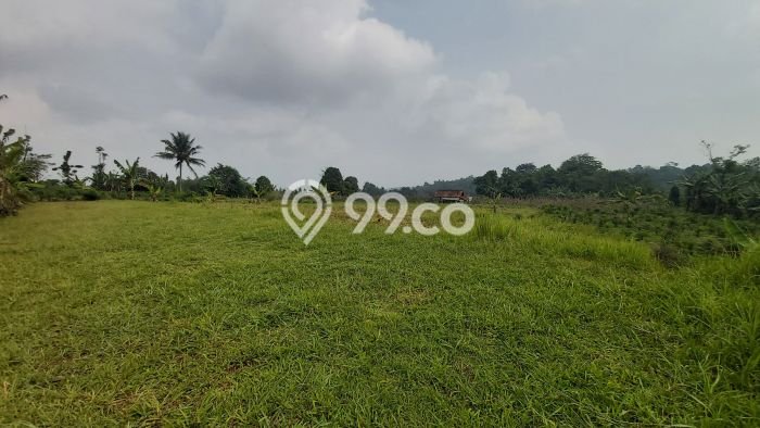 Untuk Dijual Tanah di Wanayasa Purwakarta Luas 16000m2 SHM Untuk Dijual Tanah di Wanayasa Purwakarta Luas 16000m2 SHM