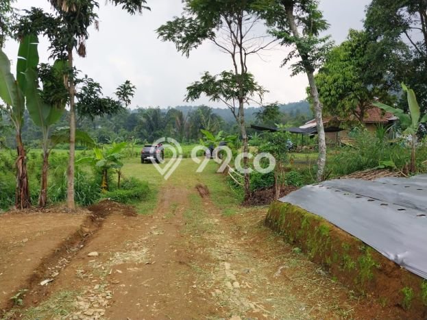 Untuk Dijual Tanah di Wanayasa Purwakarta Luas 16000m2 SHM Untuk Dijual Tanah di Wanayasa Purwakarta Luas 16000m2 SHM