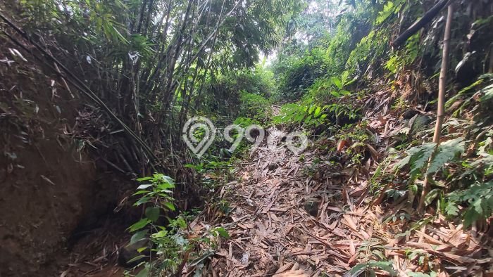 Untuk Dijual Tanah di Wanayasa Purwakarta Luas 16000m2 SHM Untuk Dijual Tanah di Wanayasa Purwakarta Luas 16000m2 SHM