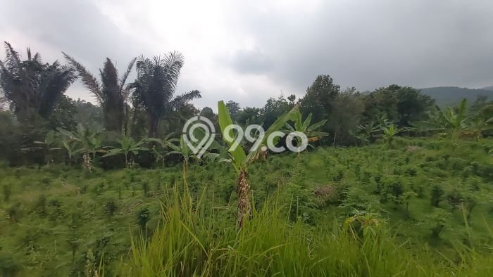 Untuk Dijual Tanah di Wanayasa Purwakarta Luas 16000m2 SHM Untuk Dijual Tanah di Wanayasa Purwakarta Luas 16000m2 SHM