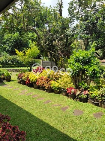 Rumah 4 KT 2 KM Area Premium di Coblong, Bandung Rumah 4 KT 2 KM Area Premium di Coblong, Bandung