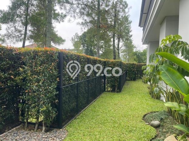 Rumah Bagus Disewakan di Kota Baru Parahyangan, Bandung LT 550m2, LB 600m2 Rumah Bagus Disewakan di Kota Baru Parahyangan, Bandung LT 550m2, LB 600m2