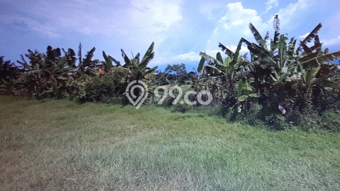Kavling Tanah di Grati Dijual Luas 280800m2 Legalitas - Kavling Tanah di Grati Dijual Luas 280800m2 Legalitas -