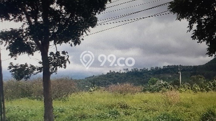 Tanah Dijual Lokasi Gekbrong, Cianjur Luas 40829m2 Legalitas Aman Tanah Dijual Lokasi Gekbrong, Cianjur Luas 40829m2 Legalitas Aman