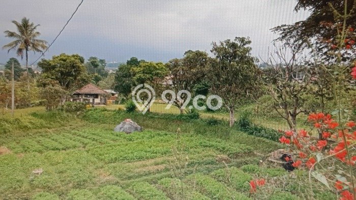 Kavling Tanah di Pacet Dijual Luas 15931m2 Legalitas SHM Kavling Tanah di Pacet Dijual Luas 15931m2 Legalitas SHM