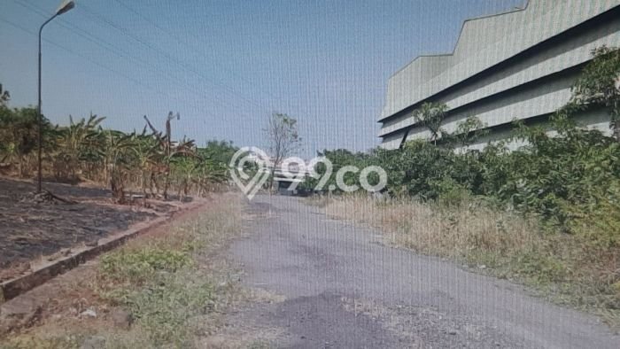 Gudang Favorit Dijual di Kaliwungu Kendal Area Pusat Bisnis Gudang Favorit Dijual di Kaliwungu Kendal Area Pusat Bisnis