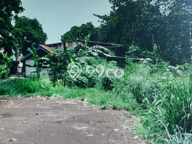 Tanah di Sukaraja, Bogor Luas 4190m2 Dijual Segera Tanah di Sukaraja, Bogor Luas 4190m2 Dijual Segera