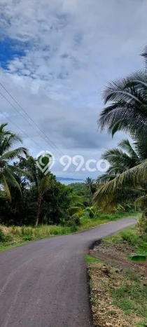Tanah Dijual Area Strategis di Pangandaran Ciamis 700m2 Tanah Dijual Area Strategis di Pangandaran Ciamis 700m2