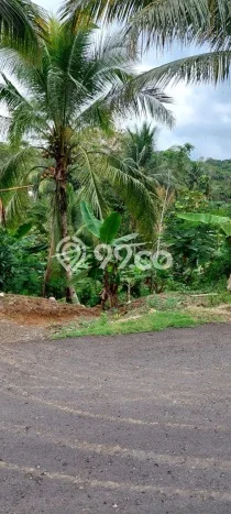 Tanah Dijual Area Strategis di Pangandaran Ciamis 700m2 Tanah Dijual Area Strategis di Pangandaran Ciamis 700m2