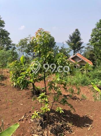 Dijual Tanah di Bandung, Luas 18000m2 SHM Dijual Tanah di Bandung, Luas 18000m2 SHM