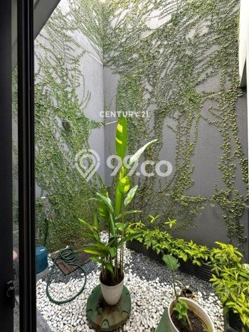Rumah Luas Asri 3 KT Siap Pakai di Bintaro Tangerang Selatan Rumah Luas Asri 3 KT Siap Pakai di Bintaro Tangerang Selatan