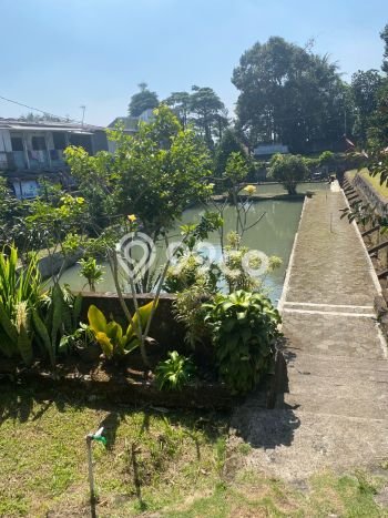 Tanah di Cigombong, Bogor Luas 2006m2 Dijual Segera Tanah di Cigombong, Bogor Luas 2006m2 Dijual Segera