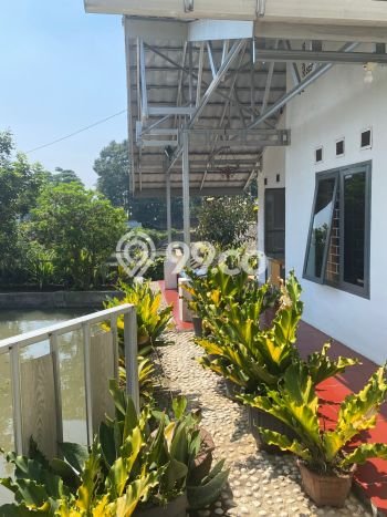 Tanah di Cigombong, Bogor Luas 2006m2 Dijual Segera Tanah di Cigombong, Bogor Luas 2006m2 Dijual Segera