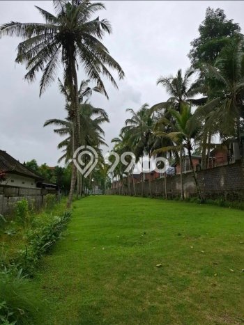 Tanah Dijual Lokasi Ubud, Gianyar dengan Luas Tanah 3100m2 dan Status SHM Tanah Dijual Lokasi Ubud, Gianyar dengan Luas Tanah 3100m2 dan Status SHM