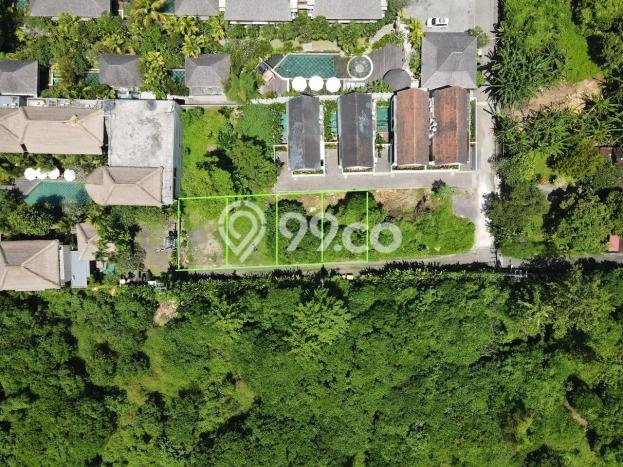 Kavling Tanah Dijual di Ubud, Gianyar, Luas 557m2 Area Strategis Kavling Tanah Dijual di Ubud, Gianyar, Luas 557m2 Area Strategis