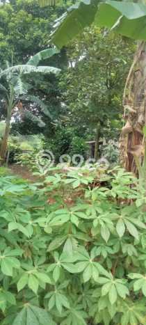 Tanah Kavling untuk Dijual di Cibinong Bogor 15000m2 Tanah Kavling untuk Dijual di Cibinong Bogor 15000m2