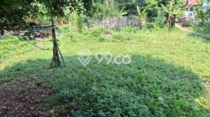 Jual Rumah Favorit Siap Huni LB 150m2 di Ciampea, Bogor Jual Rumah Favorit Siap Huni LB 150m2 di Ciampea, Bogor