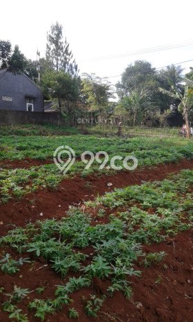 Kavling Tanah Dijual di Tajur Halang Bogor Spesifikasi 1296m2 Kavling Tanah Dijual di Tajur Halang Bogor Spesifikasi 1296m2