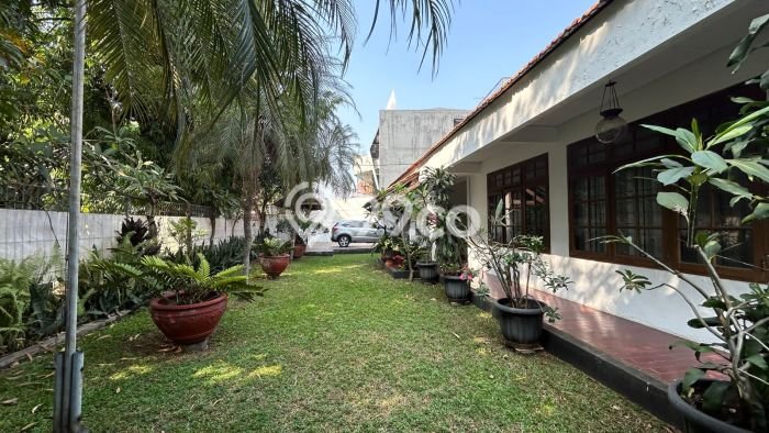 Siap Huni Rumah Mewah 3 Kamar di Kebon Jeruk Dekat ke Mana Saja Siap Huni Rumah Mewah 3 Kamar di Kebon Jeruk Dekat ke Mana Saja