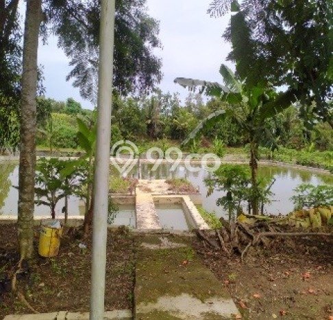 Gudang Bagus LT 2920m2 LB 1584m2 Dijual di Cikande Serang Gudang Bagus LT 2920m2 LB 1584m2 Dijual di Cikande Serang
