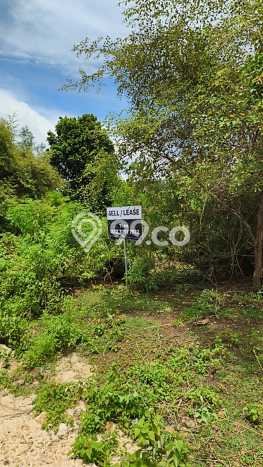 Tanah Kavling Dijual di Badung dengan Spesifikasi 350m2 Tanah Kavling Dijual di Badung dengan Spesifikasi 350m2