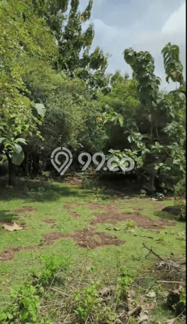Tanah Kavling Dijual di Badung dengan Spesifikasi 350m2 Tanah Kavling Dijual di Badung dengan Spesifikasi 350m2