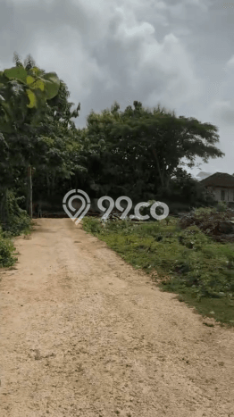 Tanah Kavling Dijual di Badung dengan Spesifikasi 350m2 Tanah Kavling Dijual di Badung dengan Spesifikasi 350m2