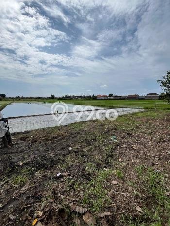 Tanah Kavling untuk Dijual di Tabanan Tabanan 4850m2 Tanah Kavling untuk Dijual di Tabanan Tabanan 4850m2