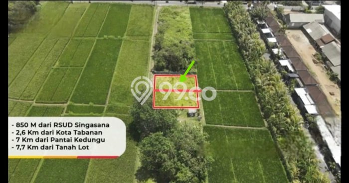 Jarang Ada! Tanah di Tabanan Punya Luas 146m2 SHM Jarang Ada! Tanah di Tabanan Punya Luas 146m2 SHM