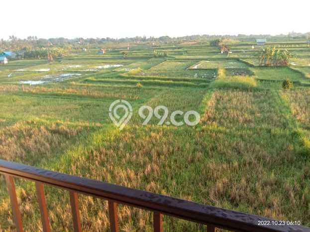 Dijual Rumah Modern 3 KT di Tumbak Bayuh, Badung Dijual Rumah Modern 3 KT di Tumbak Bayuh, Badung