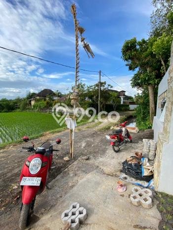 Tersedia Vila untuk Disewa Kawasan Tabanan, Luas 0m2m², Akses Mudah Fasilitas Umum Tersedia Vila untuk Disewa Kawasan Tabanan, Luas 0m2m², Akses Mudah Fasilitas Umum