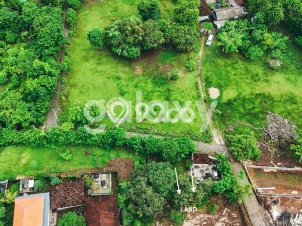 Tanah Kavling untuk Dijual di Kuta Selatan Badung 1000m2 Tanah Kavling untuk Dijual di Kuta Selatan Badung 1000m2