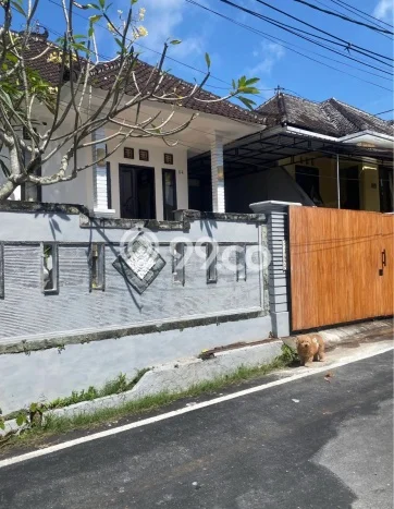 Disewakan Rumah Murah di Ungasan Badung dengan 2 KT Disewakan Rumah Murah di Ungasan Badung dengan 2 KT