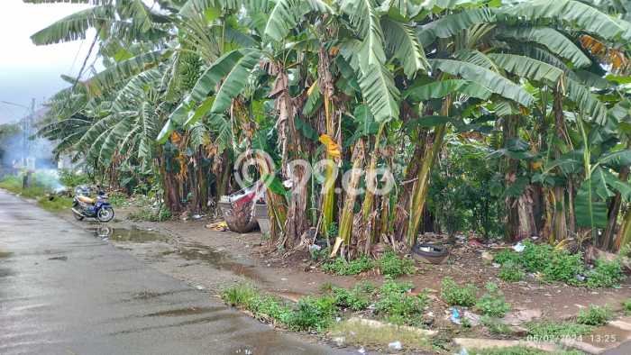 Tanah Siap Bangun Dijual di Tangerang Selatan Punya Luas 12662m2 Tanah Siap Bangun Dijual di Tangerang Selatan Punya Luas 12662m2
