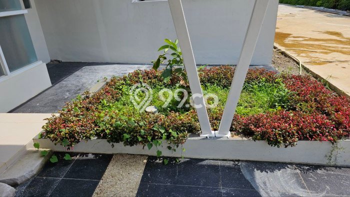 Rumah Luas Asri 2 KT Siap Pakai di Cilebut Bogor Rumah Luas Asri 2 KT Siap Pakai di Cilebut Bogor