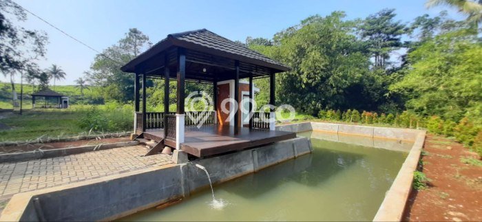 Lahan untuk Dijual Lokasi Ciampea, Bogor Luas 300m2 SHM Lahan untuk Dijual Lokasi Ciampea, Bogor Luas 300m2 SHM