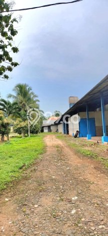 Gudang Dijual Lokasi Emas di Gunung Sindur Luas 4200m2 Gudang Dijual Lokasi Emas di Gunung Sindur Luas 4200m2