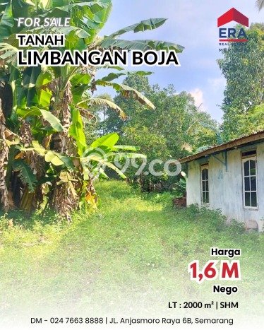 Kavling Tanah untuk Dijual di Boja, Semarang, Luas 2000m2 Kavling Tanah untuk Dijual di Boja, Semarang, Luas 2000m2
