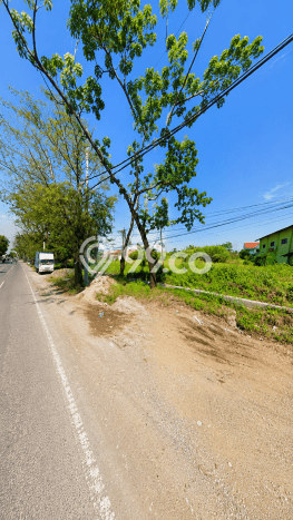 Dijual Tanah di Kendal, Luas 6100m2 SHM Dijual Tanah di Kendal, Luas 6100m2 SHM