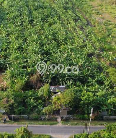 Tanah Kavling Disewakan di Gununganyar dengan Luas 3790m2 Tanah Kavling Disewakan di Gununganyar dengan Luas 3790m2