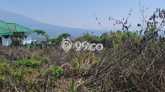Tanah untuk Dijual di Batu Batu Luas 949m2 Tanah untuk Dijual di Batu Batu Luas 949m2