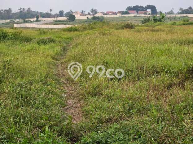Lahan Kosong Dijual di Rangkasbitung, Lebak, Luas 15000m2 Area Strategis Lahan Kosong Dijual di Rangkasbitung, Lebak, Luas 15000m2 Area Strategis