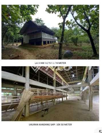 Tanah di Jonggol, Bogor Luas 252296m2 Dijual Segera Tanah di Jonggol, Bogor Luas 252296m2 Dijual Segera