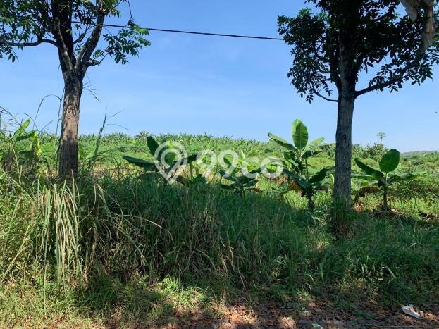 Lahan Investasi Lokasi Cianjur Cianjur SHM Lahan Investasi Lokasi Cianjur Cianjur SHM