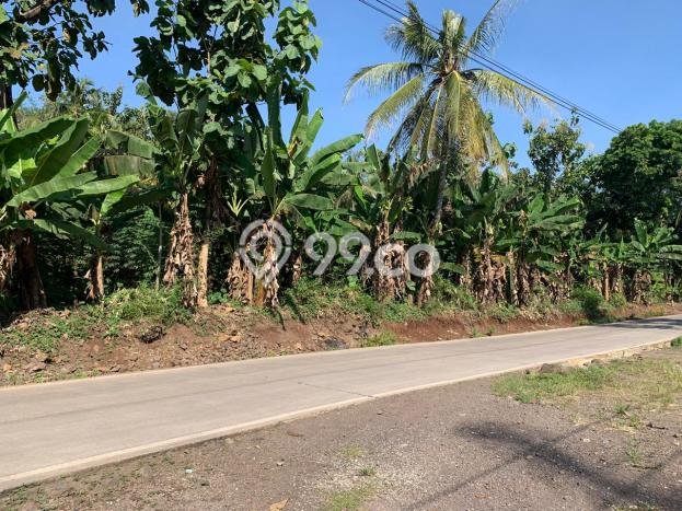Lahan Investasi Lokasi Cianjur Cianjur SHM Lahan Investasi Lokasi Cianjur Cianjur SHM