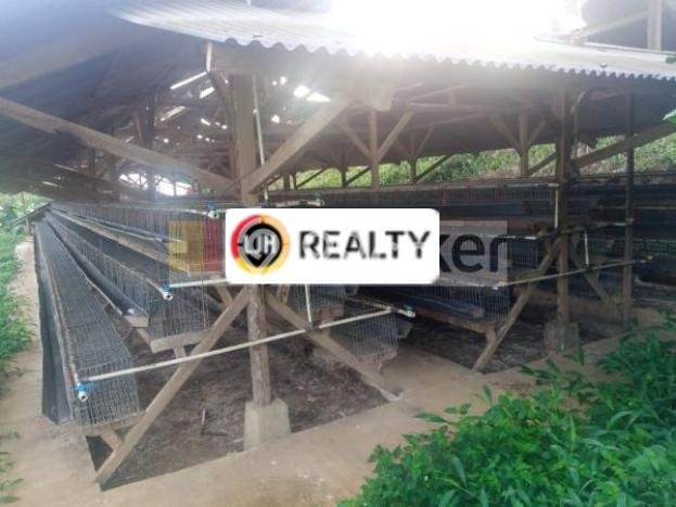 Tanah Area Berkembang di Nagrak, Luas 35000m², Dekat ke Fasilitas Umum, Dekat Nagrak, Sukabumi, Sukabumi Tanah Area Berkembang di Nagrak, Luas 35000m², Dekat ke Fasilitas Umum, Dekat Nagrak, Sukabumi, Sukabumi