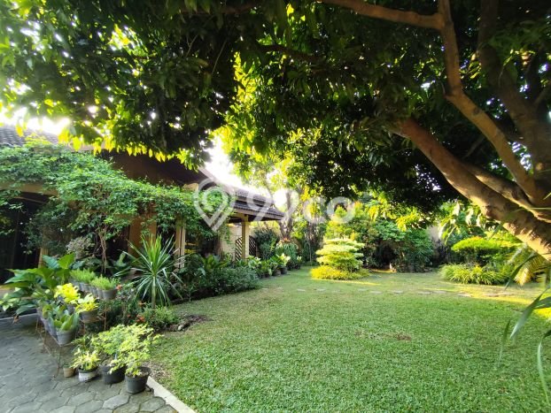 Dijual Rumah Luas Elegan Dengan View Eksklusif di Bintaro, Jakarta Selatan Dijual Rumah Luas Elegan Dengan View Eksklusif di Bintaro, Jakarta Selatan
