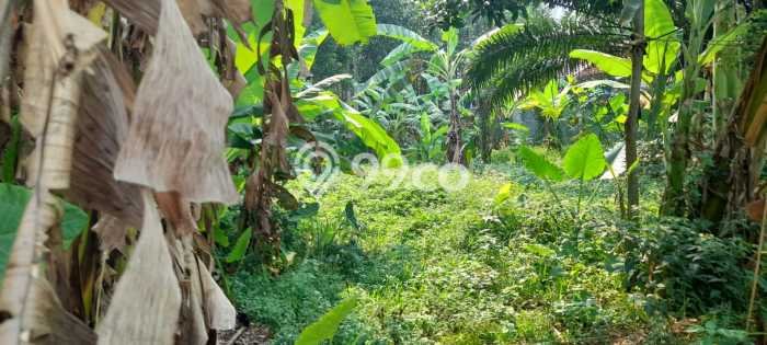 Tanah Komersial Dijual di Sawangan Depok 833m2 Tanah Komersial Dijual di Sawangan Depok 833m2