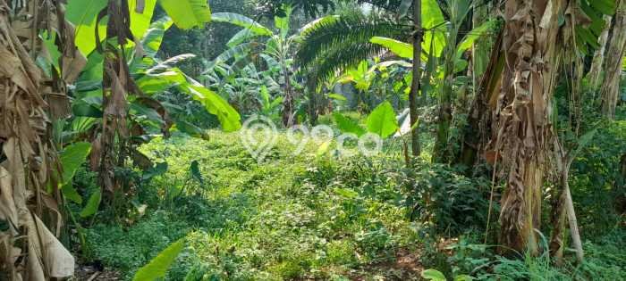 Tanah Komersial Dijual di Sawangan Depok 833m2 Tanah Komersial Dijual di Sawangan Depok 833m2